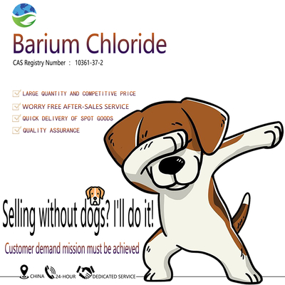 High Purity Barium Chloride 99% for Sulfate Testing and Lab Analysis
